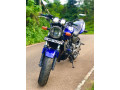 honda-hornet-250-ch130-small-3