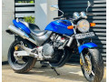 honda-hornet-250-ch115-2014-small-0