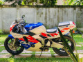 honda-cbr-gullarm-250-2008-small-0