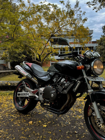 honda-hornet-250-ch115-2012-big-4