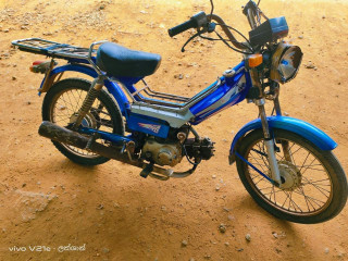 Ranamoto 48cc bike
