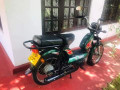 tvs-xl-49cc-small-1