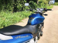 honda-hornet-ch115-2012-small-4