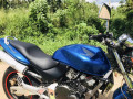 honda-hornet-ch115-2012-small-1