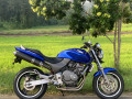 honda-hornet-ch110-2016-small-2