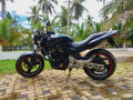 honda-hornet-ch115-2011-small-0