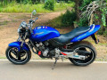 honda-hornet-ch100-2009-small-0