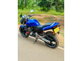 honda-hornet-ch100-2009-small-1