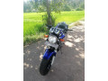 honda-hornet-ch110-2012-small-1