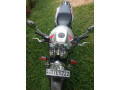 honda-hornet-ch150-2020-small-3