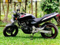 honda-hornet-ch150-2020-small-1