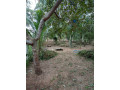1-acre-land-for-sale-in-bowaththa-small-1