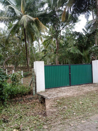1-acre-land-for-sale-in-bowaththa-big-2