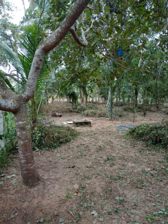 1-acre-land-for-sale-in-bowaththa-big-1