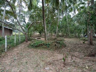 1-acre-land-for-sale-in-bowaththa