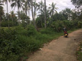 coconut-land-for-sale-in-kurunegala-small-2