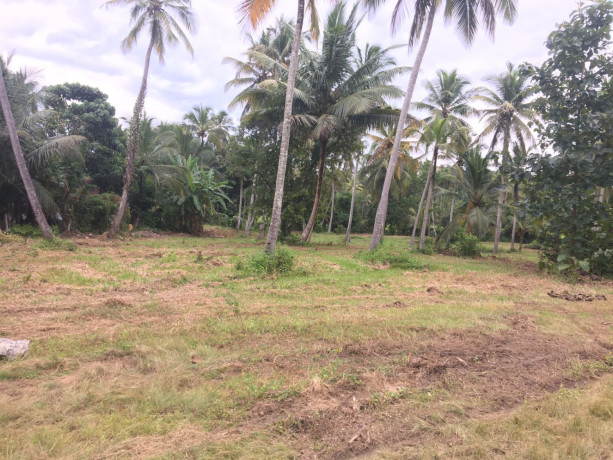 coconut-land-for-sale-in-kurunegala-big-1