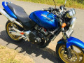 honda-hornet-250-2012-small-0