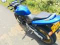 honda-hornet-250-2012-small-2