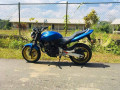 honda-hornet-250-2012-small-4