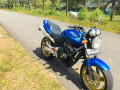 honda-hornet-250-2012-small-3