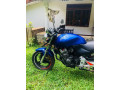 honda-hornet-ch110-2012-small-4