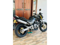 honda-hornet-ch115-2009-small-2