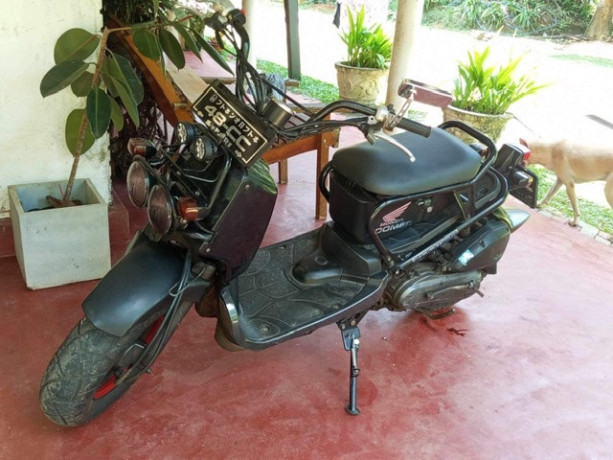honda-zoomer-big-0