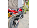 honda-hornet-ch110-2012-small-2