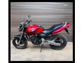 honda-hornet-ch110-2012-small-3