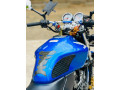 honda-hornet-ch110-2012-small-3