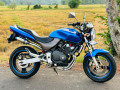 honda-hornet-ch125-2013-small-0