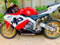 honda-cbr250-gullarm-2008-small-3