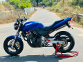 honda-hornet-ch115-unregistered-small-3