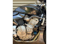 honda-hornet-600-unregistered-small-3