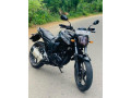 yamaha-fz-v1-small-0