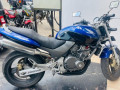 honda-hornet-250-2015-small-0