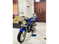 honda-hornet-250-2015-small-1