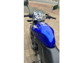 honda-hornet-ch115-unregistered-small-2