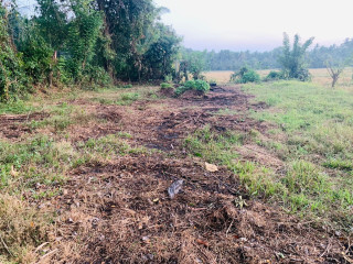 perch-45-land-for-sale-in-kurunegala