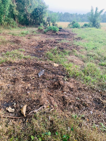 perch-45-land-for-sale-in-kurunegala-big-2