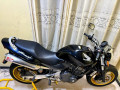 honda-hornet-ch130-2009-small-2