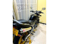 honda-hornet-ch130-2009-small-1