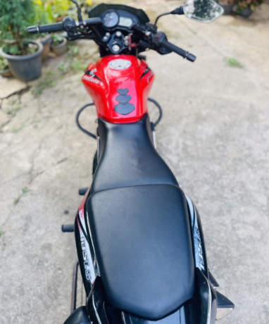 bajaj-pulsar-135-big-1