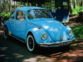 volkswagen-beetle-1969-small-0