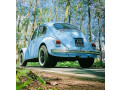 volkswagen-beetle-1969-small-1