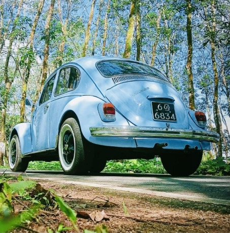 volkswagen-beetle-1969-big-1