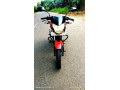 bajaj-pulsar-135-2011-small-1