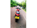 bajaj-pulsar-135-2011-small-2