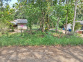 perch-40-land-for-sale-in-anuradapura-small-2